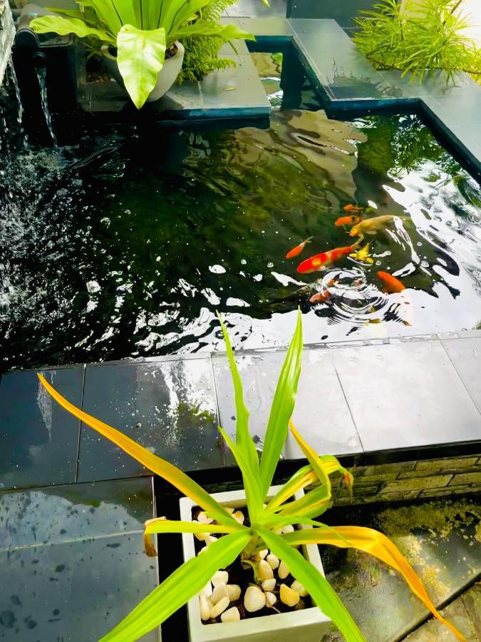Travellers Halt Hotel Ratnapura Bagian luar foto